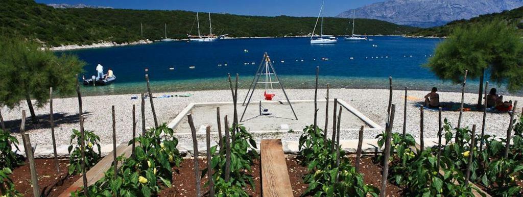 Apartment Antica Povlja (Brac)